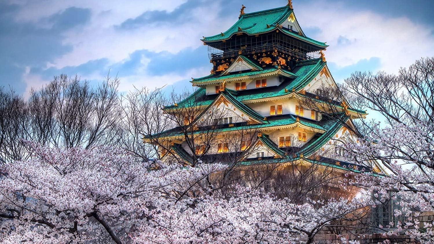 WiHome 5D Diamond Painting Kits for Adults Full Drill Cherry Blossom Asian Embroidery Rhinestone Painting