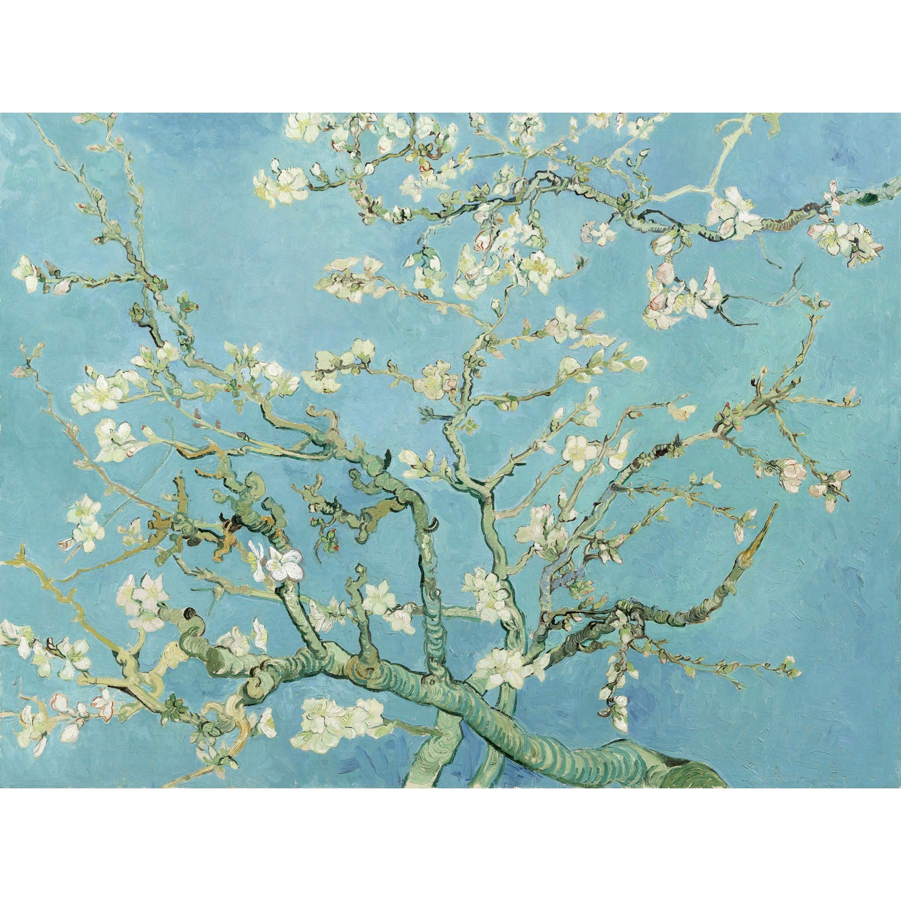 Vincent Van Gogh Almond Blossom Large Wall Art Print Canvas Premium Poster Mural
