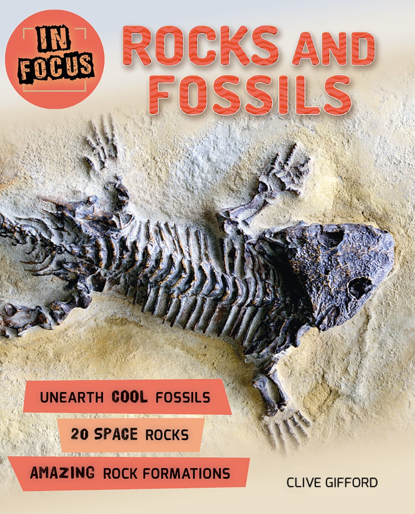 In Focus Rocks And Fossils Chris Oxlade 9780753474273 - 