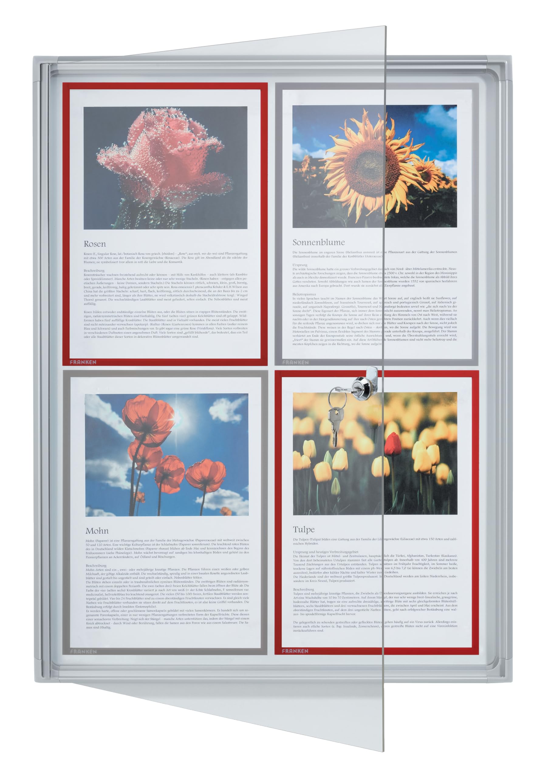 Franken FSA1 Flat Display 1 x ISO A4, Aluminium Frame 4X A4 White — image 1