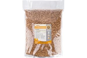 Adaman Dried Mealworms -10 LBS- 100% Natural Non GMO High Protein Mealworms - Bulk Meal Worms for Chickens & Birds, Ducks - Best Chicken Treats, Bird Food, Turtle Food