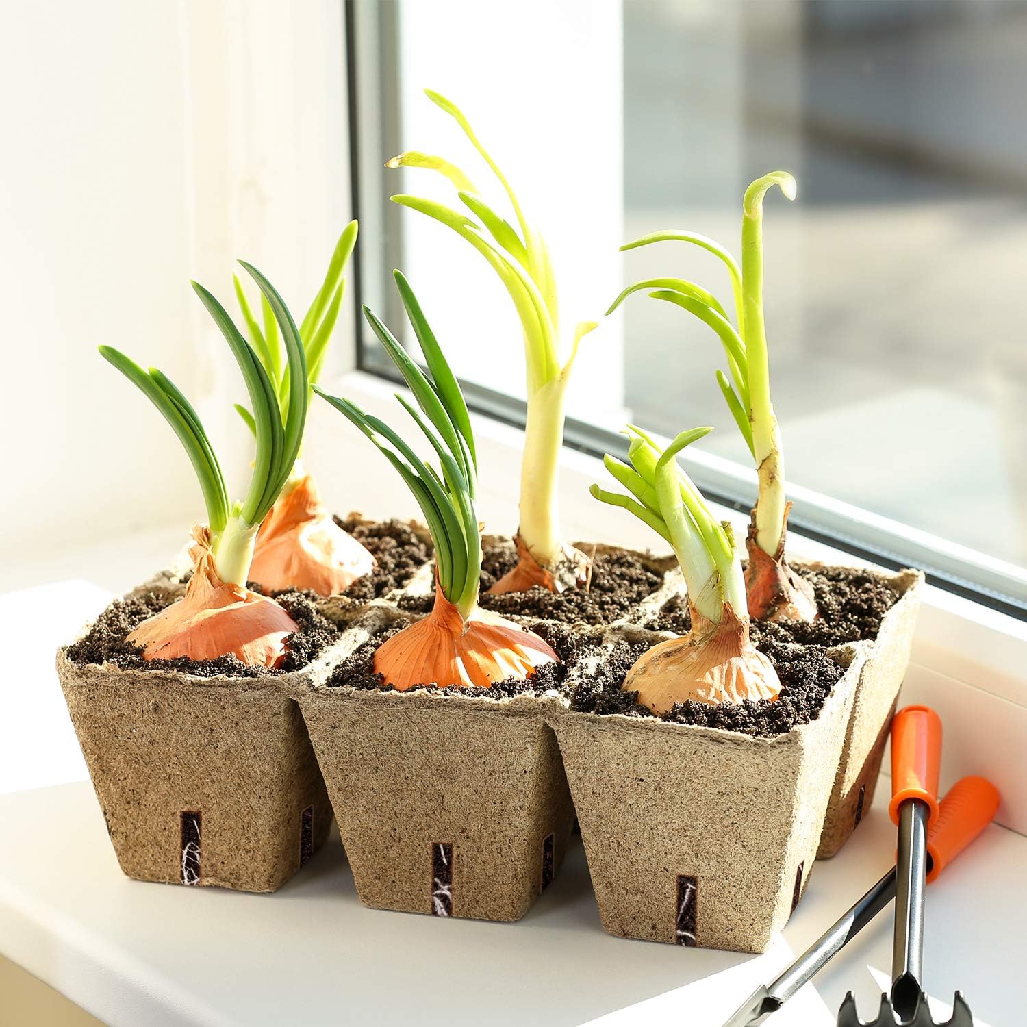 102pcs Seed Starter Tray Kit w/ 10 Labels, Biodegradable