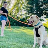 Total Pet Training Lead for Dogs 30m Waterproof Long Line Carabiner Clip view 8