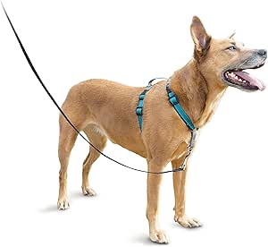 petsmart easy walk harness