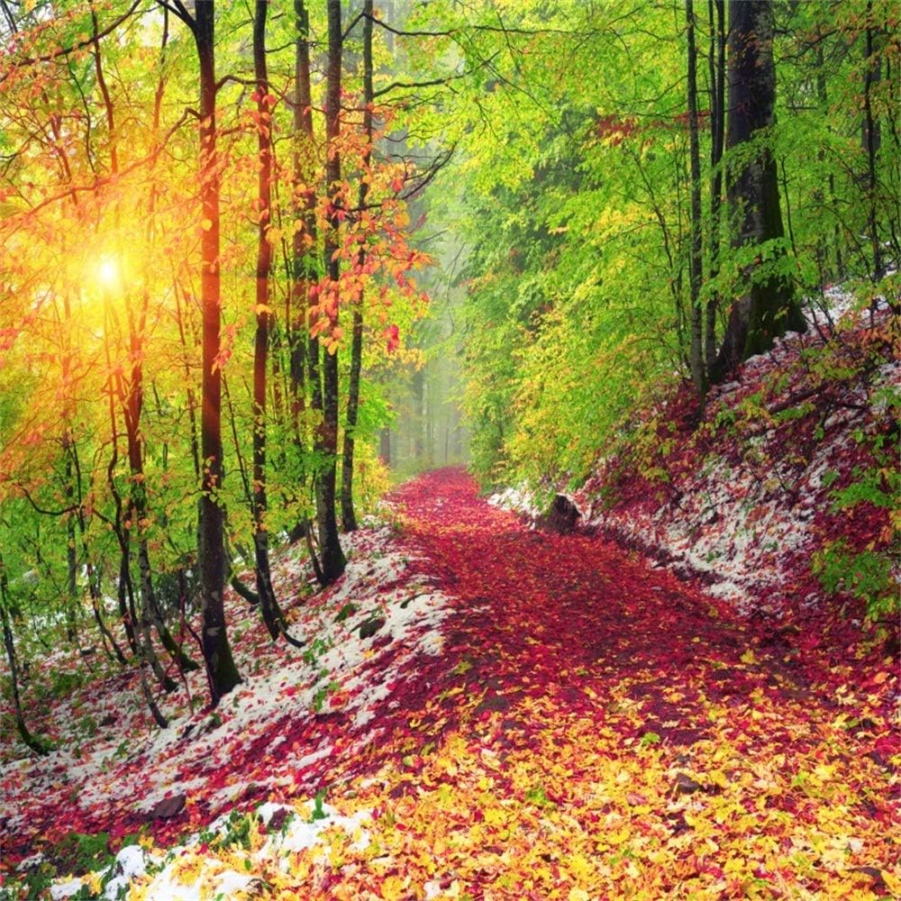 Amazon Com Aofoto 10x10ft Autumn Forest Path Backdrop For Photography Sunset Winter Fall Scenery Coloring Woods Fallen Leaves Road Photo Backdground Vinyl Photo Studio Props Camera Photo