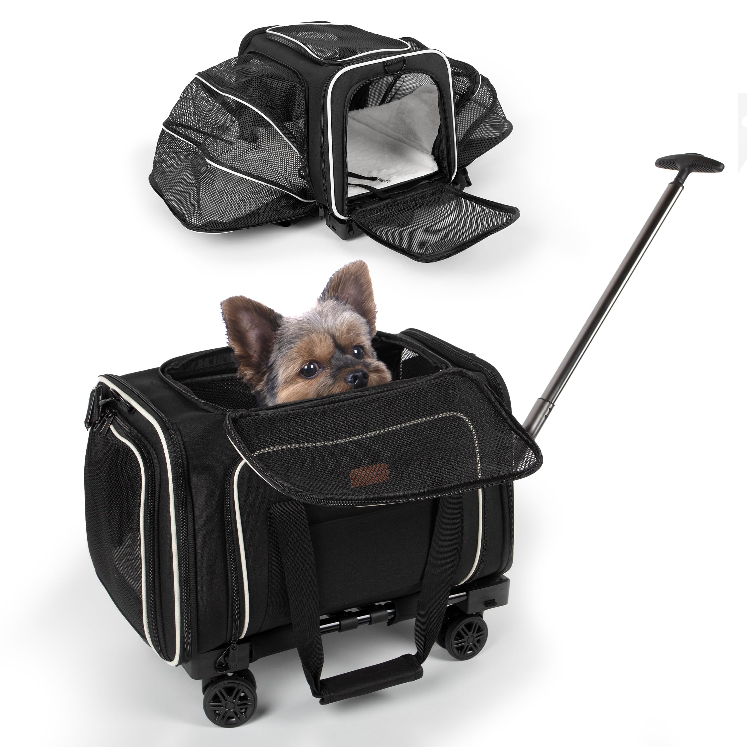 Military benefits − Programs and products − American Airlines