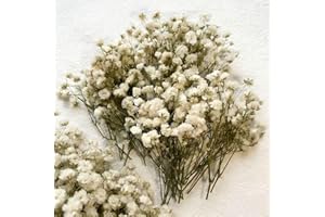 90Pcs Mini Baby's Breath Real Natural Dried Pressed Flowers for Resin Art Craft DIY Making Wedding Card Home Party Décor