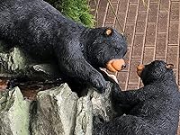 Review Image by Mountain Mike Mountain Mike