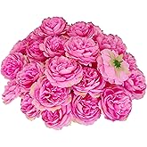 ARTIFIPLANT Rose Red Rose Heads for Craft,3.3'' Rose Heads Artificial Flowers,40 Pcs Silk Rose Heads Bulk,Satin Rose Heads No Stem for DIY Flower Well,Crafts Bouquest