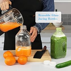 Syntic 4 Pack 2 Qt Glass Milk Bottles with Handle