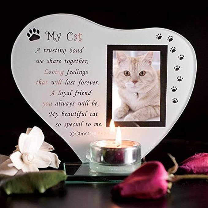Special Cat Keepsake Grave Memorial Glass Ornament Cat Plaque Poem