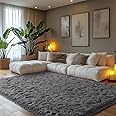 Zentavio Area Rugs for Living Room Grey Rugs for Bedroom 5x8 Carpet Fluffy Fuzzy Soft Shag Aesthetic Plush High Pile Gray Throw Rug for Nursery Kids Room Dorm