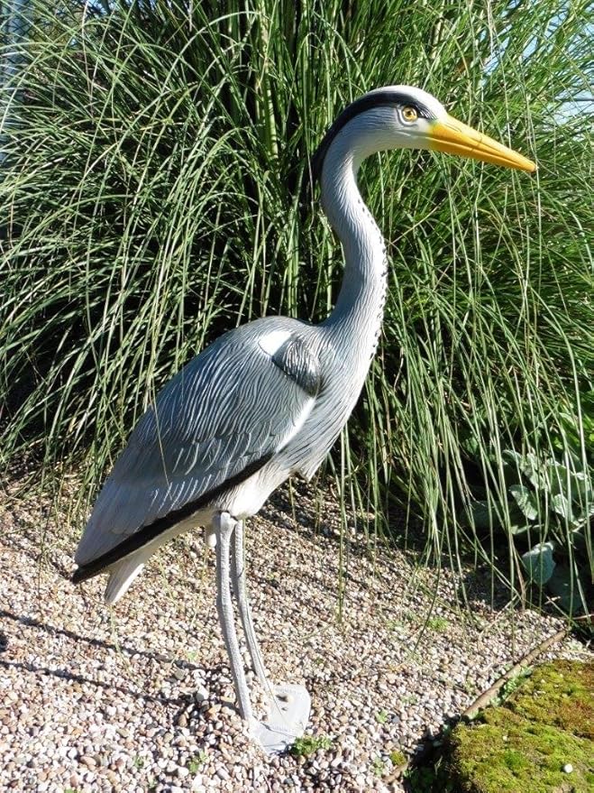 Decorative Heron Pond Ornament Heron Bird Deterrent Fish Pond Amazon