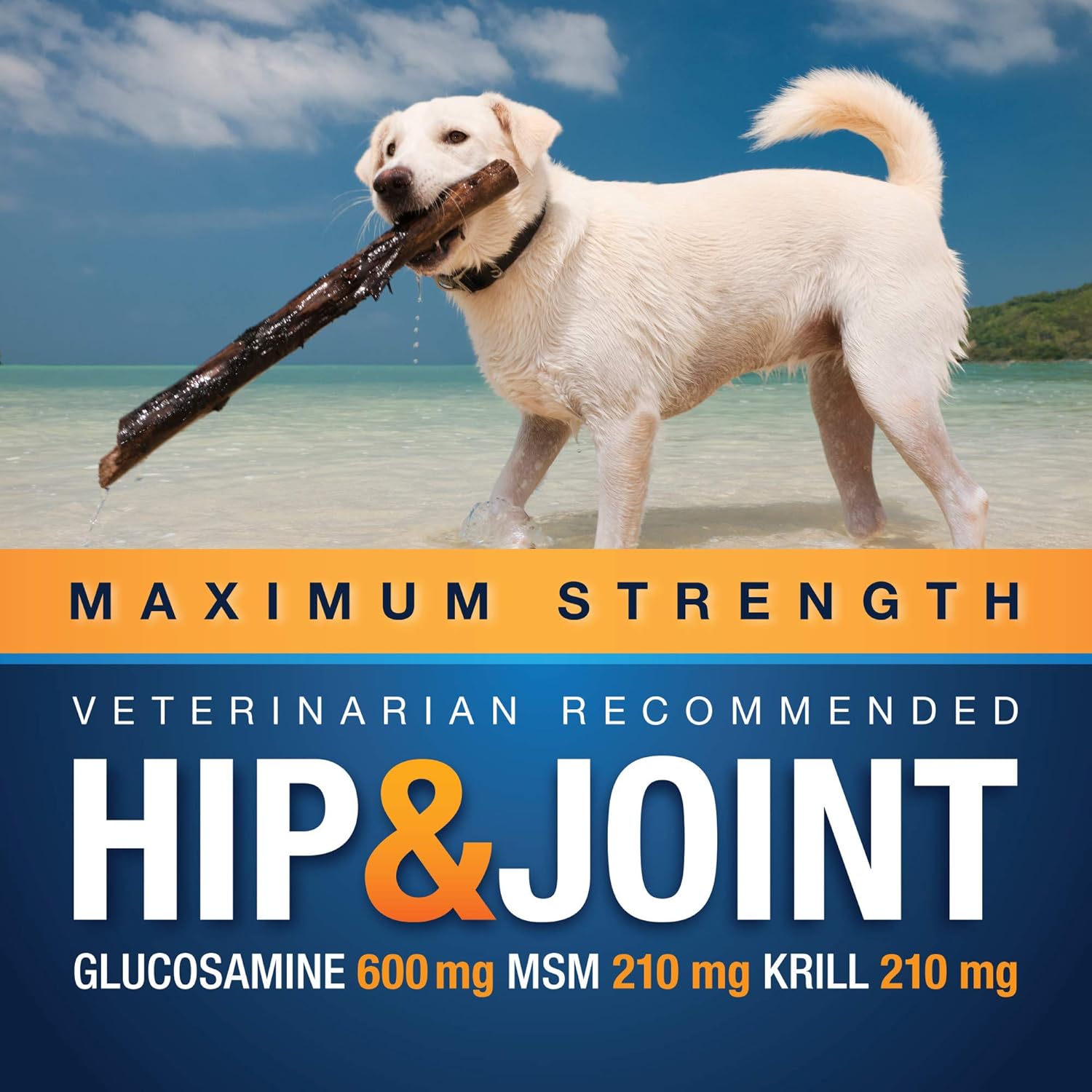 vetiq maximum strength hip and joint