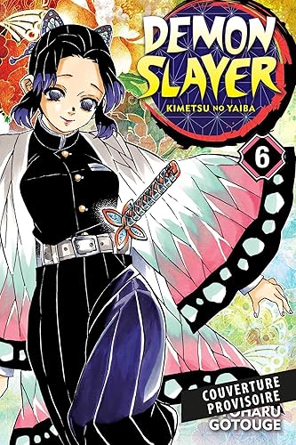 Download Demon Slayer T06 PDF