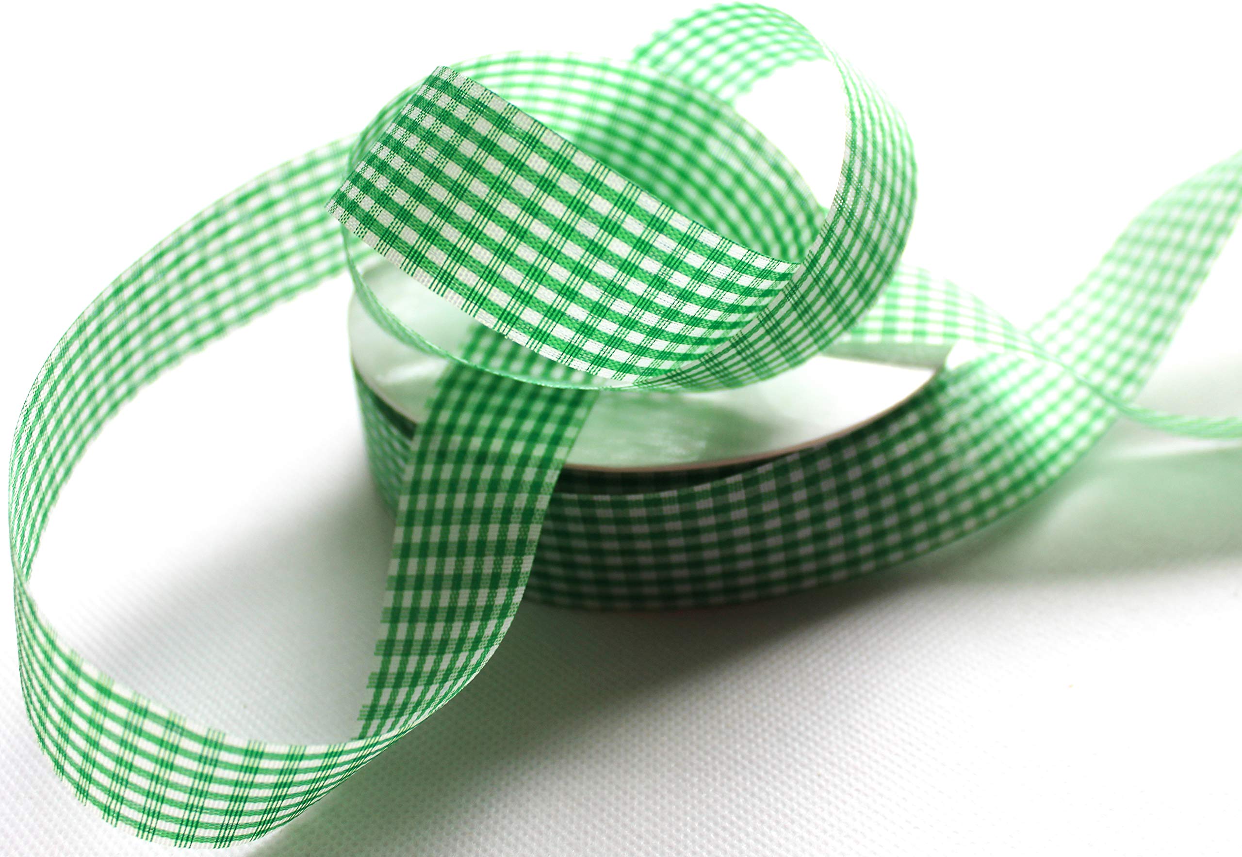 CaPiSo® Checked ribbon, Vichy gift ribbon, country house ribbon (green, 25 m, 40 mm)