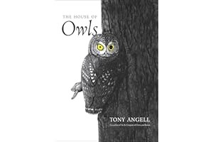 The House of Owls: Democracy and the Armed Society