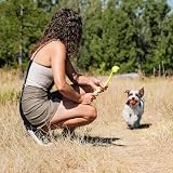 Chuckit Air Fetch Ball Medium 6.5 cm Pack of 2 Durable Rubber Dog Toy view 2