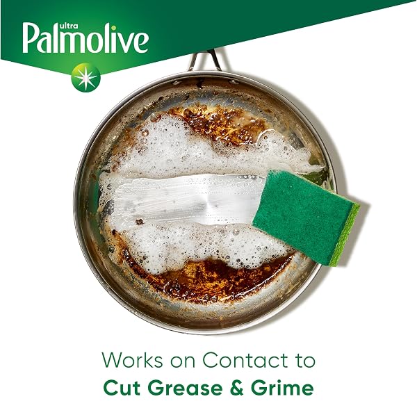 PALMOLIVE ULTRA OXY LIQUID DISH SOAP, DEEP GREASE CUTTING, NO SOAKING NEEDED, POWERFUL ON PLASTICS, DISHWASHING LIQUID, 32.5 FL OZ