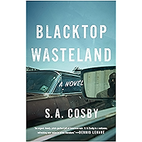 Blacktop Wasteland: A Novel book cover
