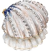 YU FENG 2.3inch Seashell Figurine Trinket Box Hinged Crystals Jeweled Painted Enameled Collectible Ocean Jewelry Box(Dark Blue) Christmas Gift