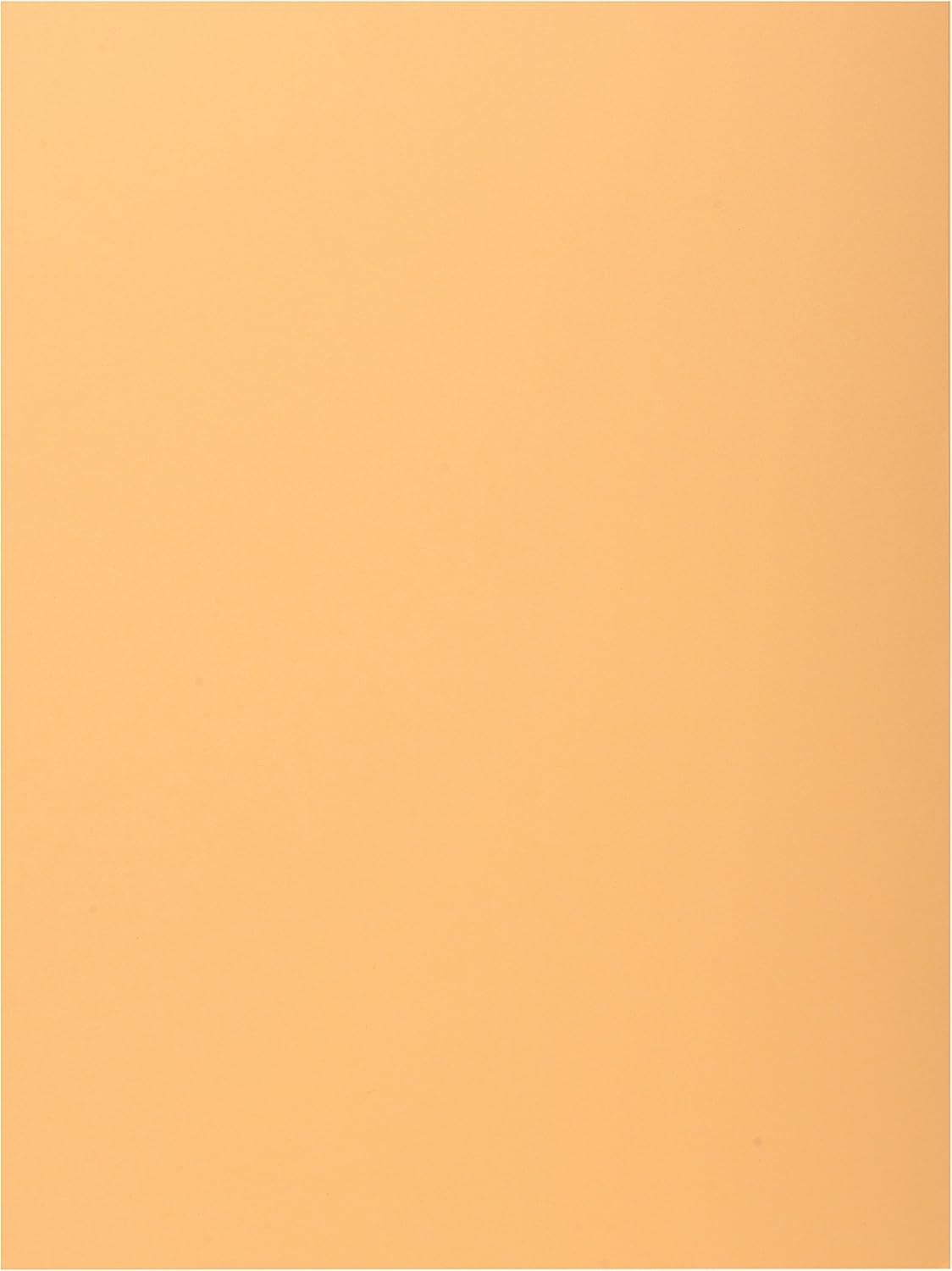Exacompta, Ref 348025E, Super 210 1-Flap Folders, 240 x 320mm in Size, Suitable for Holding A4 Documents, 160gsm Card
