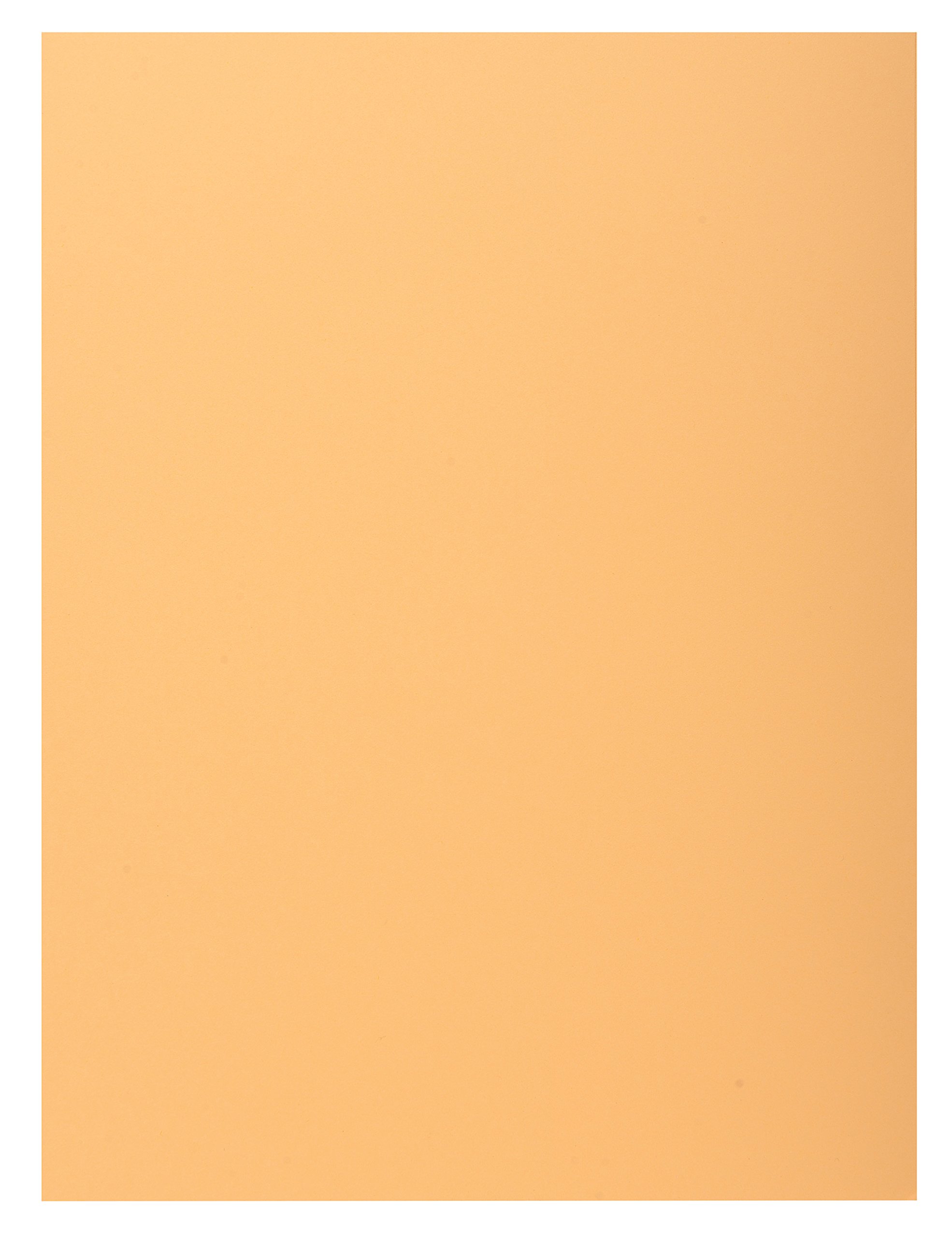 Exacompta - Ref 348025E - Super 210 1-Flap Folders - 240 x 320mm in Size, Suitable for Holding A4 Documents, 160gsm Card, Single Fold Over Flap - Buff (Pack of 100)