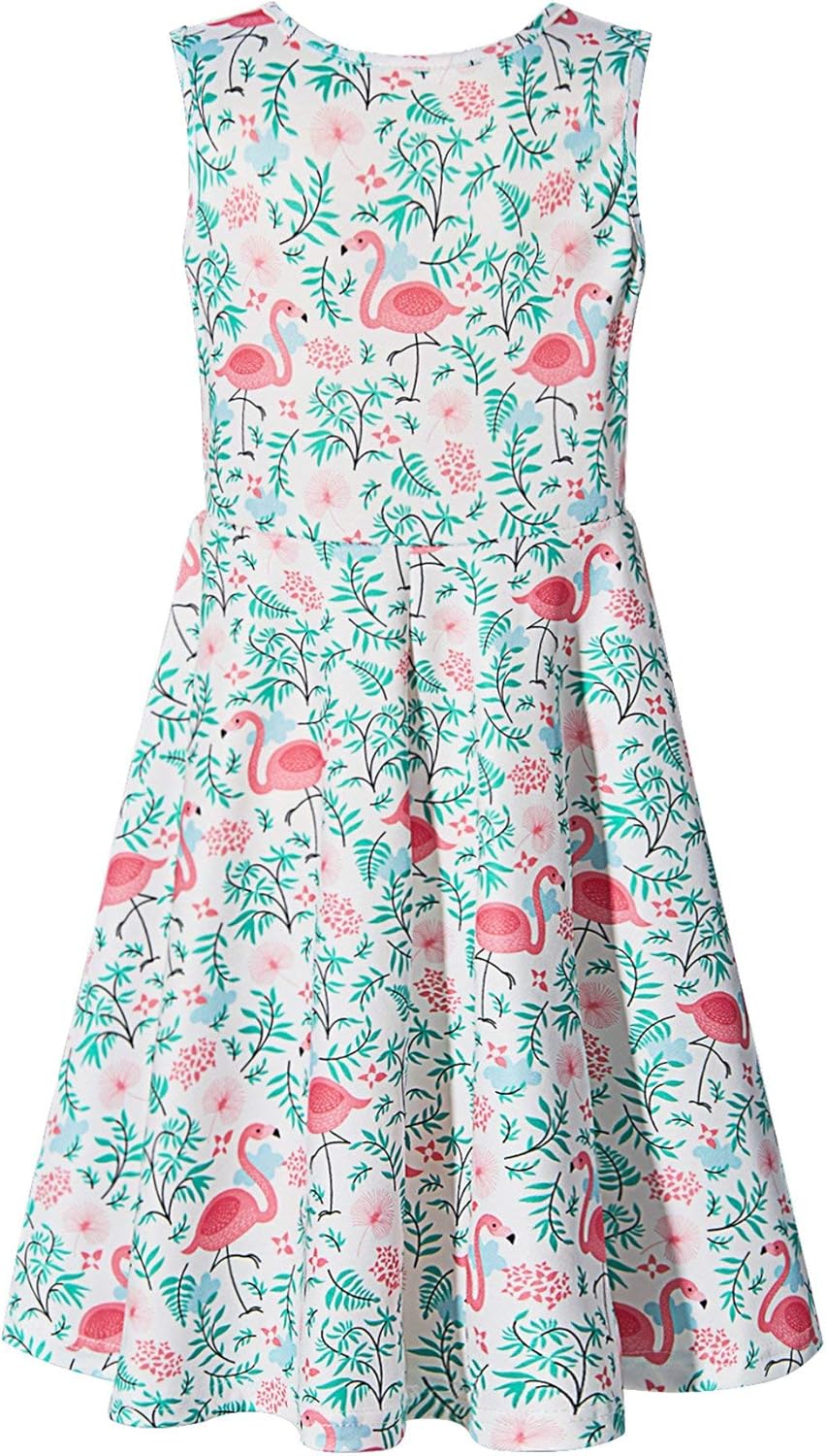 Ahegao Girl's Floral Sleeveless Dresses Kids One Piece Sundress for Casual School 4-13 Years Old: Clothing