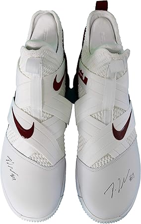 lebron autographed shoes