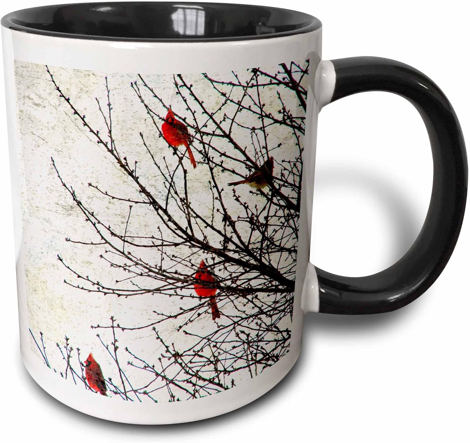 3dRose Cardinals Photographed by Angelandspot-Two Tone Black Mug, 11 oz, Multicolored