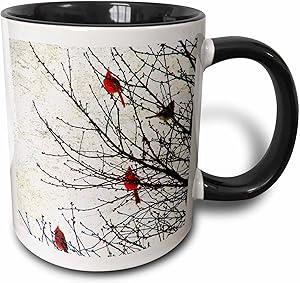 3dRose Cardinals Photographed by Angelandspot-Two Tone Black Mug, 11 oz, Multicolored