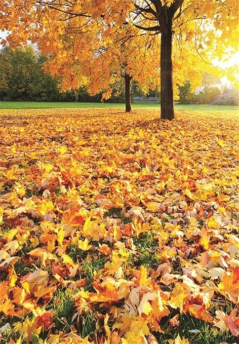 Amazon Aofoto秋景色背景fall風景写真バックドロップ感謝祭ホリデーパーティーデコレーション写真撮影小道具壁紙 バックペーパー 背景布 通販