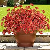 Krissing 48 Bundles Outdoor Artificial Flowers UV Resistant Fake Silk Flowers Faux Plastic Plants Outside Garden Porch Window Box Summer Decoration (Red)