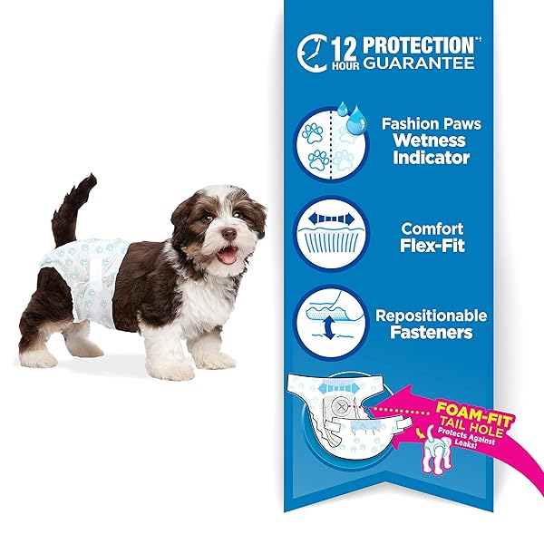 FOUR PAWS WEE-WEE SUPER ABSORBENT DISPOSABLE ADJUSTABLE DOG POTTY TRAINING DIAPERS, LEAK-PROOF PROTECTION FOR PUPPIES AND SMALL DOGS, SMALL, 12 COUNT