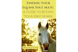 Finding Your Equine Soulmate: A Guide to Buying Your First Horse