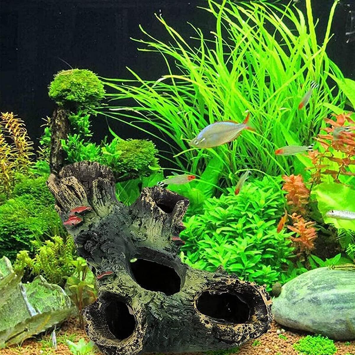 View 7