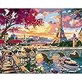 QUITEDEW Eiffel Tower Paint by Number for Adults,City Scenery Paint by Numbers,Landscape Paint by Numbers Kits Suitable for Home Wall Decoration 16x20 Inch.