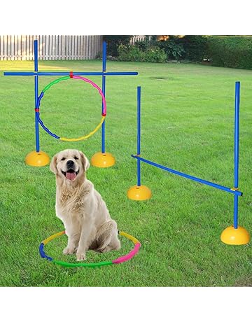 Second hand dog training equipment Clearance