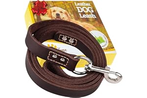 ADITYNA Leather Dog Leash 6 ft x 3/4 inch - Soft, Strong, Heavy Duty for Large & Medium Breeds - Dog Lead for Walking, Training, Hiking and Running (Brown)