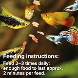 King British Tropical Fish Flake 200g Multi-Vitamin Complete Food view 4