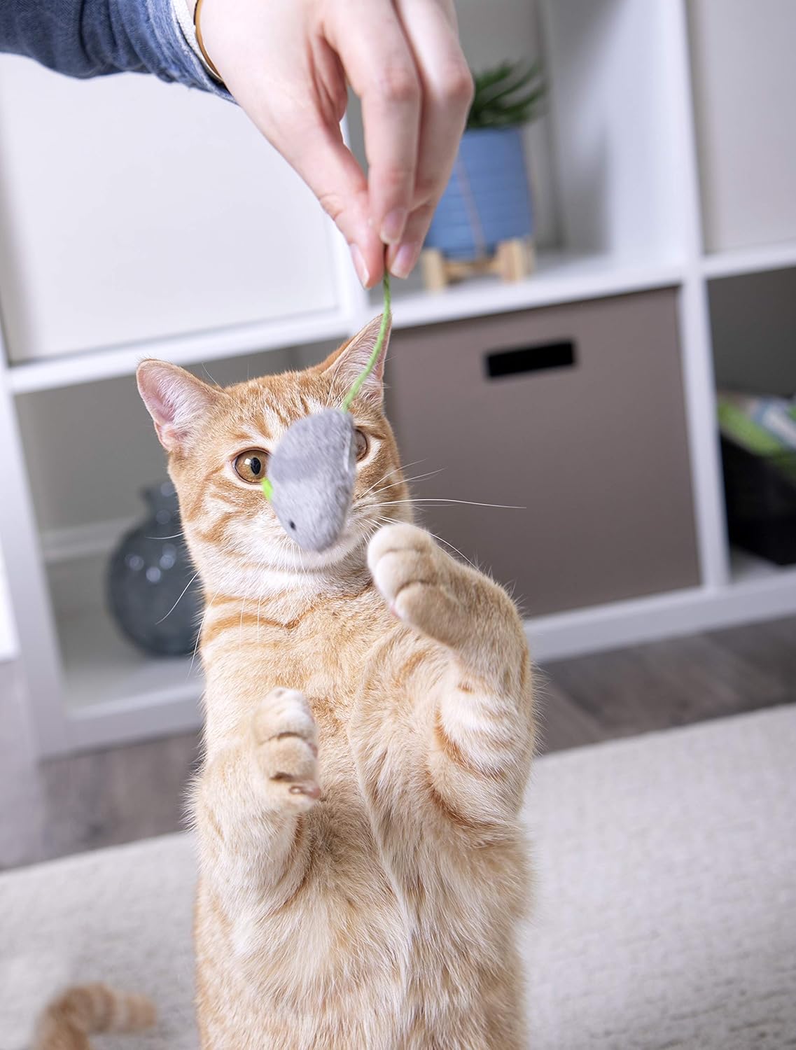 SmartyKat Skitter Critters Cat Toy Catnip Mice, 3/pkg : Pet Mice And Animal Toys : Pet Supplies
