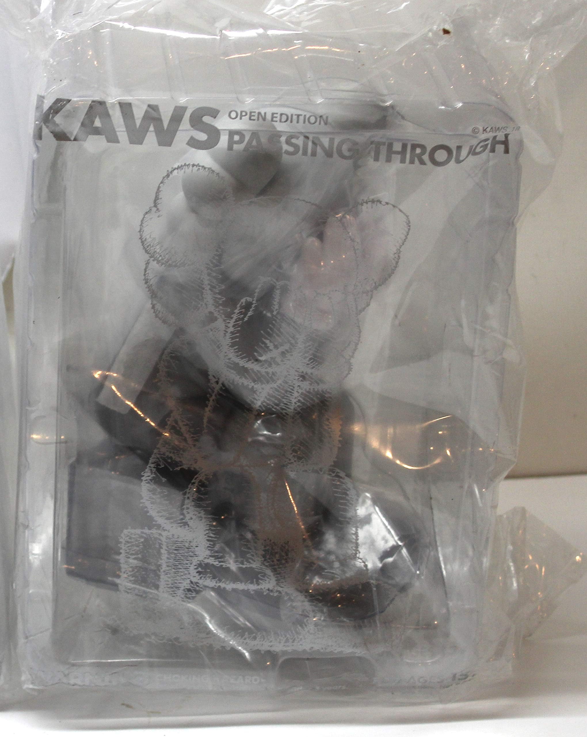 KAWS Passing Through Companion - Size OS