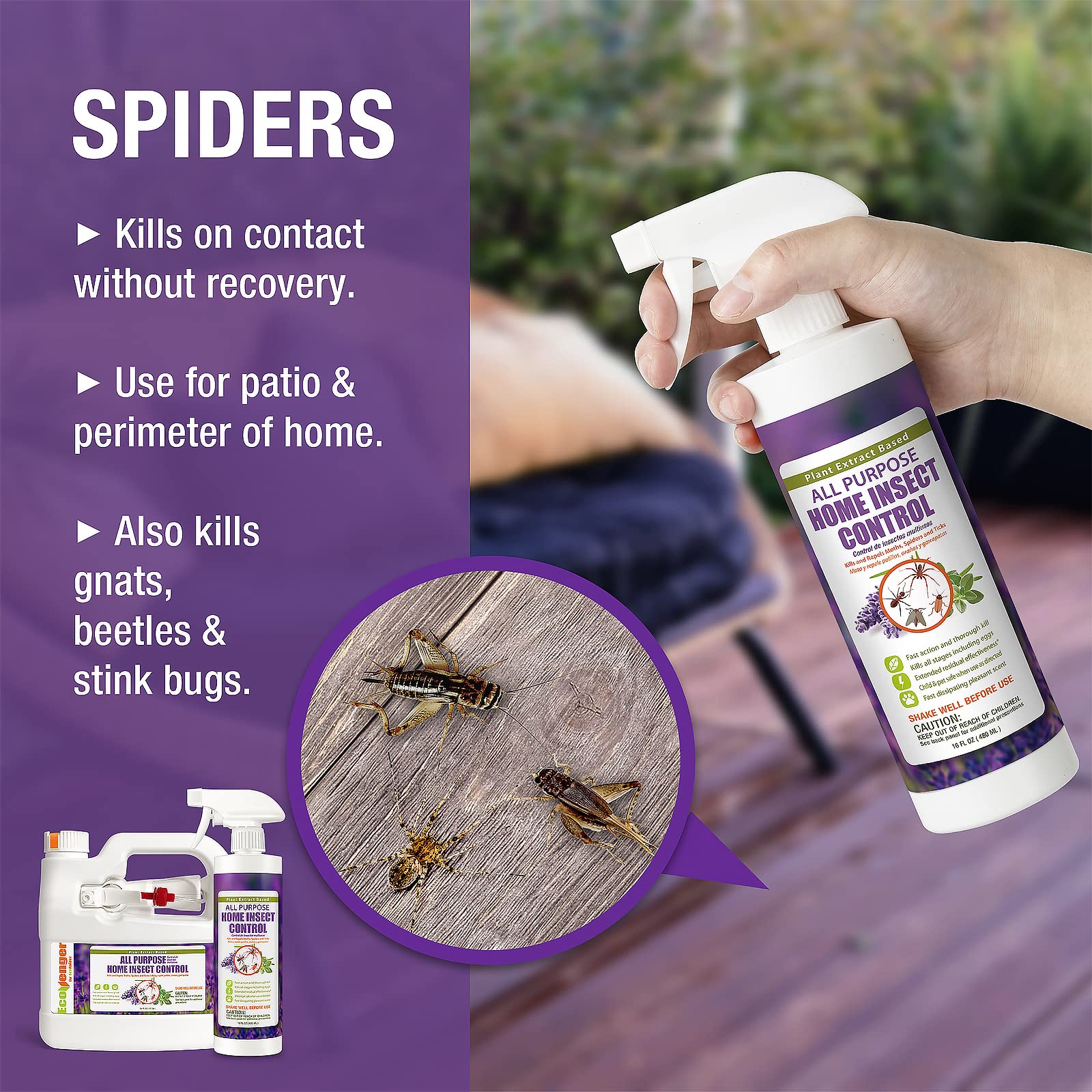 Mua EcoRaider Discomfort Pest Insecticide Sprayer for Home & Kitchen ...