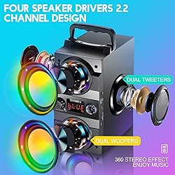TENMIYA 40W(60W Peak) Portable Bluetooth Speakers
