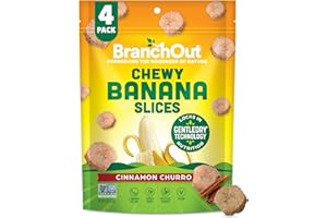 BranchOut Cinnamon Churro Banana Slices, Chewy & Full of Flavor, GentleDry, Better than Freeze Dried Banana Chips, Delicious Vegan Fruit Snacks for Kids & Adults, 2 oz Snack Size (Pack of 4)