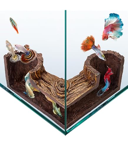 baseball fish tank accessories Amazon.com: Aquarium Decor College Football with Logo for Fish Tank Baseball  Basketball Any Team with Colors Custom Aquarium Decor Football Fish Tank  Decorations : Pet Supplies