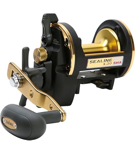 Amazon.com : Daiwa Sealine-Xa Conventional Reel : Fishing