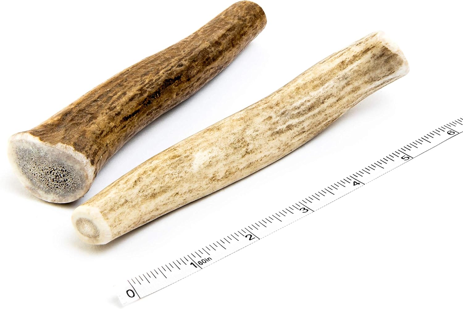 elk antlers for puppies