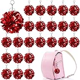 24 Pcs Cheer Pom Pom Keychain Cheering Keyring Plastic Pom Poms for Cheerleading Keyring Cheer Dance Foil Keychains Bulk with Hook for Girls Women Cheer Bag Jewelry Accessories Cheer Camp Gifts
