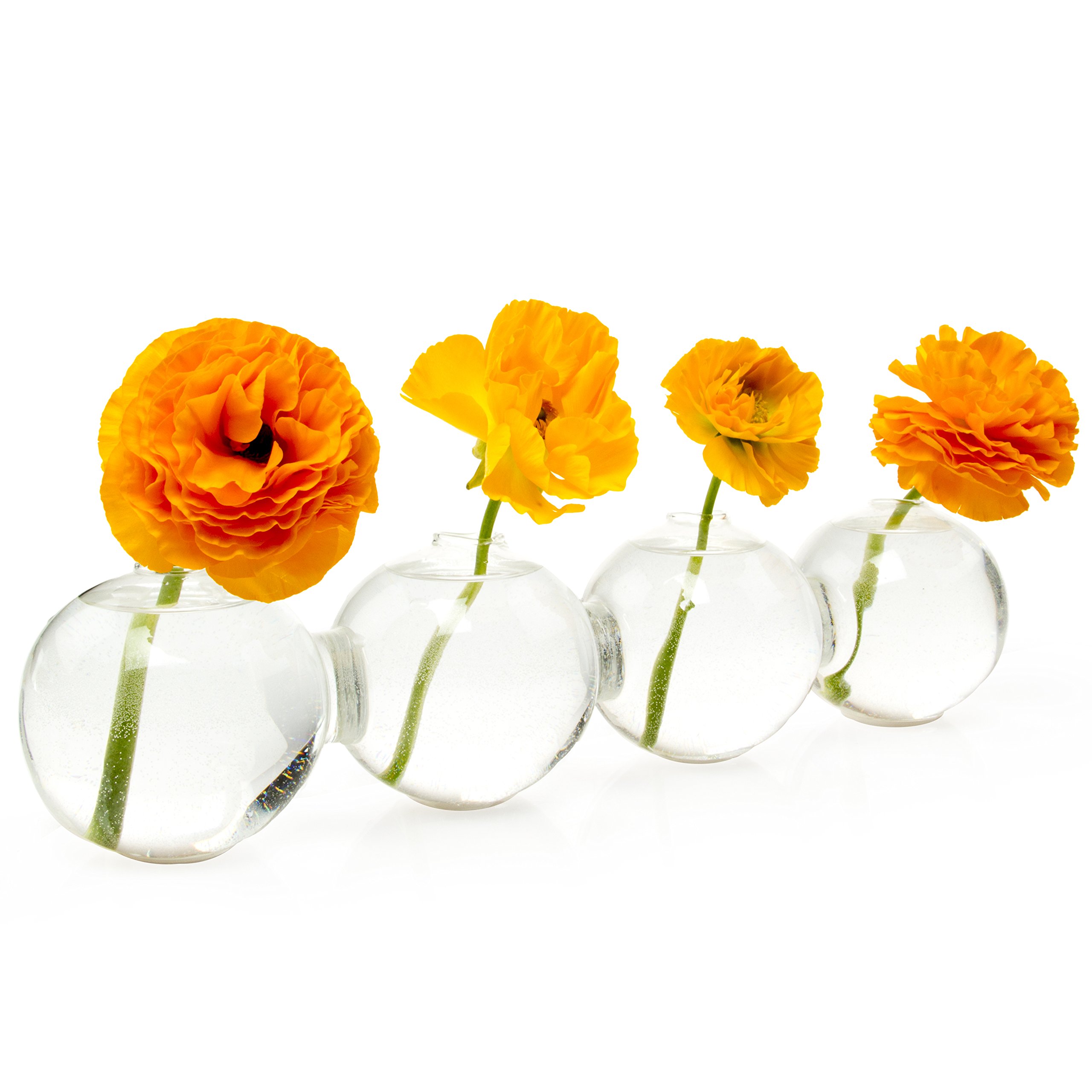 Chive Big Caterpillar Large Clear Glass Bud Vase for Short Flowers